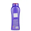 TULIPAN NEGRO Perfumed shower gel Flower Dreams, 650 ml TULIPAN NEGRO Perfumed shower gel Flower Dreams, 650 ml